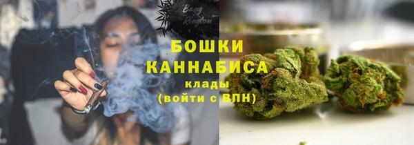 прущие грибы Вязьма